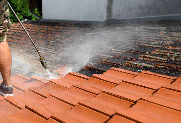 Best Deck Pressure Washing  in Rainsville, AL