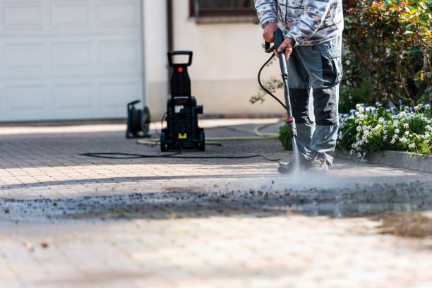 Best Local Pressure Washing Services  in Rainsville, AL