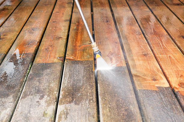 Best Pressure Washing Driveway  in Rainsville, AL