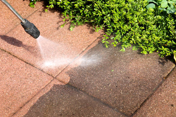 Best Garage Pressure Washing  in Rainsville, AL